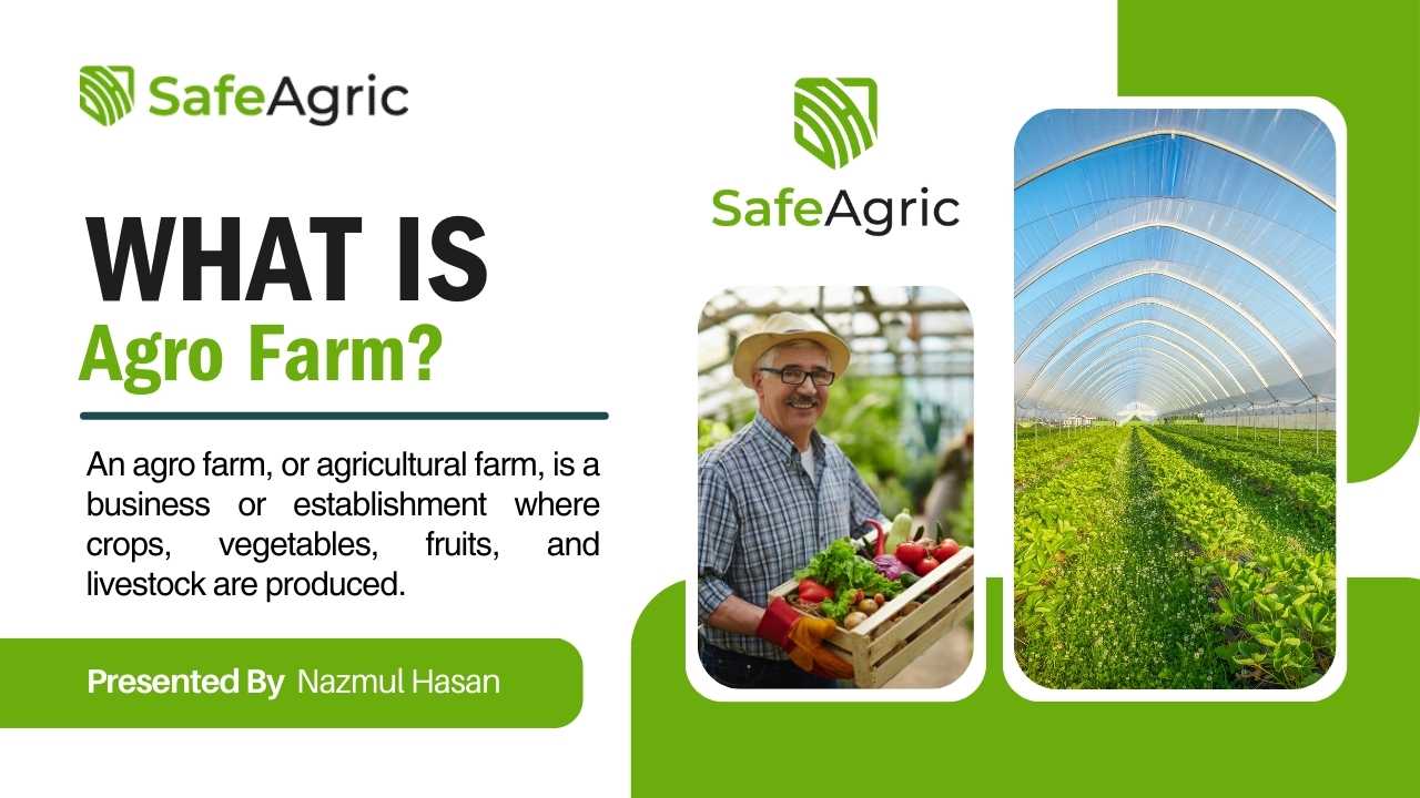 What is Agro Farm?